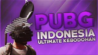 PUBG Indonesia - Ultimate Kebodohan