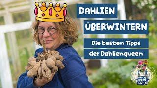 Dahlien überwintern - die besten Tipps der Dahlienqueen I der kleine Horrorgarten