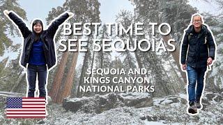 BEST TIME to visit SEQUOIA and KINGS CANYON? (late spring or summer?)
