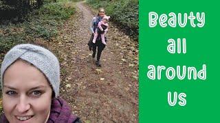 Moving to Ireland | Living in Ireland | Beautiful Ireland forest walk