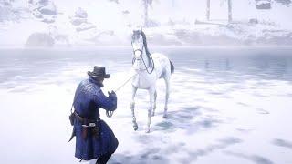 Arthur catch a world most expensive Horse -  Red Dead Redemption 2 Gameplay