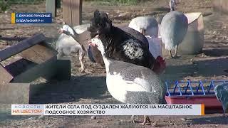 Жители села под Суздалем жалуются на масштабное подсобное хозяйство