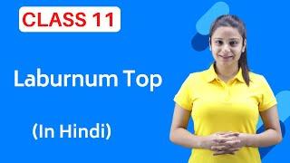 The Laburnum Top Class 11 | Full (हिन्दी में)