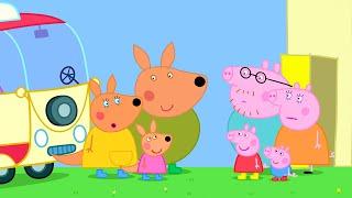 Kylie Kangourou | Peppa Pig Français Episodes Complets