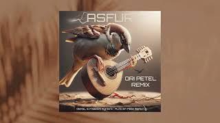 Ori Petel - Asfur