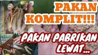 PAKAN TERNAK KOMPLIT, SELFMIX BAHAN MURAH BOBOT CAPAI KEUNTUNGAN MAXIMAL DENGAN PAKAN BUATAN SENDIRI