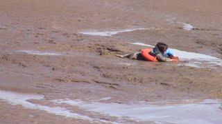 Dramatic rescue on Arnside Quicksand