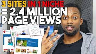 These Niche Sites Are DOMINATING An Entire Space! Amazon Affiliate Website Example (EP 3)