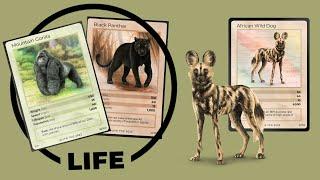 Amazing Animal Cards! - Life TCG Mammals Opening