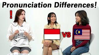 Bahasa Malaysia vs Indonesia | Apakah Mereka Menggunakan Kata-Kata yang Sama? Perbedaan Pengucapan!!