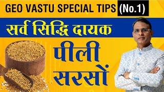 सभी कार्यों को सिद्ध करा देगी पीली सरसो | Geo vastu special tips | Dr. Rajendra jain | peeli sarso