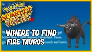 Where To Find Fire Paldean Tauros in Pokémon Scarlet and Violet