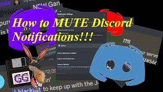 How to MUTE Discord Notifications!!!