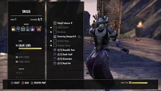 ESO - Necromancer Healer build for Harrowstorm / Greymoor