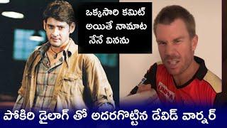 David Warner imitates Mahesh Babu Movie Pokiri Dialogue. | David Warner Tik Tok Dance