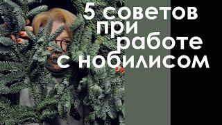 5 cоветов при работе с нобилисом !