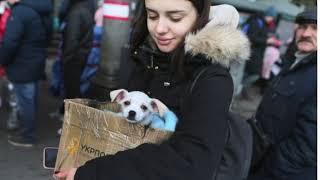 Владимир Быстряков "Расселили Киев по Европе..." Стихи Ирина Самарина-Лабиринт