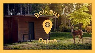 Escapade Familiale au Bois aux Daims | Les Domaines | Center Parcs