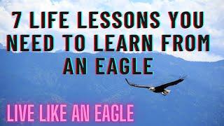 LIVE LIKE AN EAGLE  || 7 Life Lessons we have to Learn from EAGLE || InfoHolic infoTube