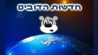 חדשות הדובים