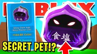 THIS NEW *SECRET* PET IS NOT SUPPOSED TO BE IN ROBLOX MAGNET SIMULATOR!! [UPDATE 16]