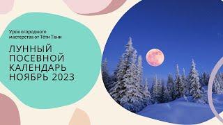 Лунный посевной календарь на ноябрь 2023 г. (семенами).