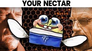 We Have Come For Your Nectar-!