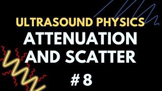 Ultrasound Scatter and Attenuation | Ultrasound Physics | Radiology Physics Course #8