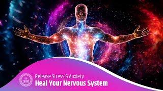 Lower Cortisol & Heal Your Nervous System - Release Stress & Anxiety – Achieve Deep Relaxation