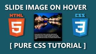 Slide Image On Hover Using CSS Transition - Pure CSS Tutorial #hovereffect