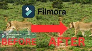 How To Remove Watermark In Filmora 13 For Free In 2024