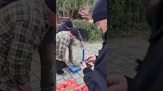 Market Day in Tetovë, Tetovo, North Macedonia - Ditë tregu në Tetovë (November 21, 2024)