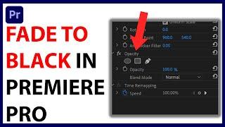 How to Fade to Black in Premiere Pro [QUICK GUIDE]