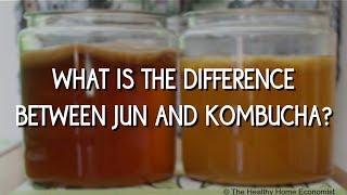 The difference between Jun and Kombucha (OUTDATED! See description for my *new* video brewing Jun!)