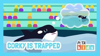 Corky The Orca is TRAPPED at SeaWorld | Kids Videos | Animal Videos | @PETAKids