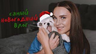 VLOGMAS: новый член семьи, украшаем квартиру!