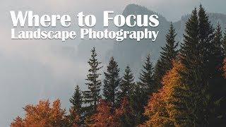 Where to Focus in Landscape Photography