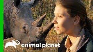Bindi Has a Magical White Rhino Encounter in the African Bush | Crikey! It's The Irwins