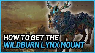 Wildburn Lynx Mount in Gold Road | ESO How-To Guide