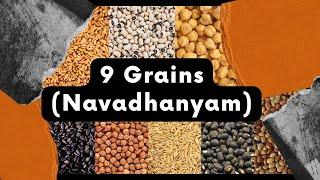 Grains name | 9 Grains | Navadhanyam | Grains name in English with pictures | Learn Grains Name |