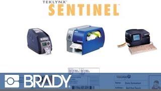 Teklynx Sentinel Automated Label Printing Video