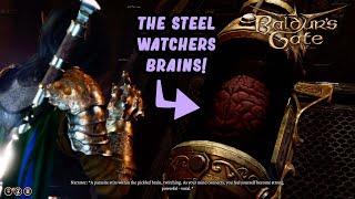 Baldur's Gate 3 - Tampering with the Steel Watchers Brains 