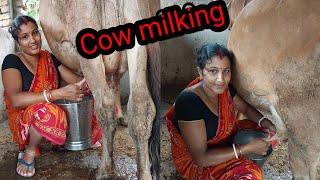 Dui athute chap diya gai r dud duachi @kalyanivlogs5548 #cow milking #cow  wash#