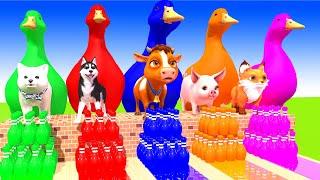 5 Giant Duck Cartoon, Paint & Animals Lion, Gorilla, Bear,Tiger , Cow Wild Animals Crossing Fountain