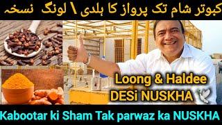 Kabootar ki parwaz ka DESi Nuskha | Garanted Parwaz 100 % | pigeon flying tournament formula