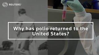 Why has polio returned to the United States?