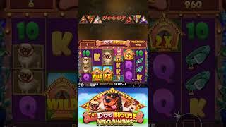 X2000 ЗАНОС В СОБАКАХ #казино #casino #занос #zubarefff #егоркрид #slots #заносынедели