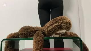 Giantess ButtCrush plush sloth