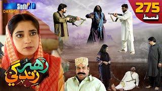 Zahar Zindagi - Ep 275 | Sindh TV Soap Serial | SindhTVHD Drama