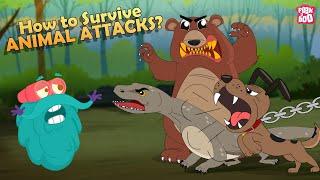 How to Survive Animal Attacks - Bear, Dog, Shark, Komodo Dragon & Giant Squid | The Dr. Binocs Show